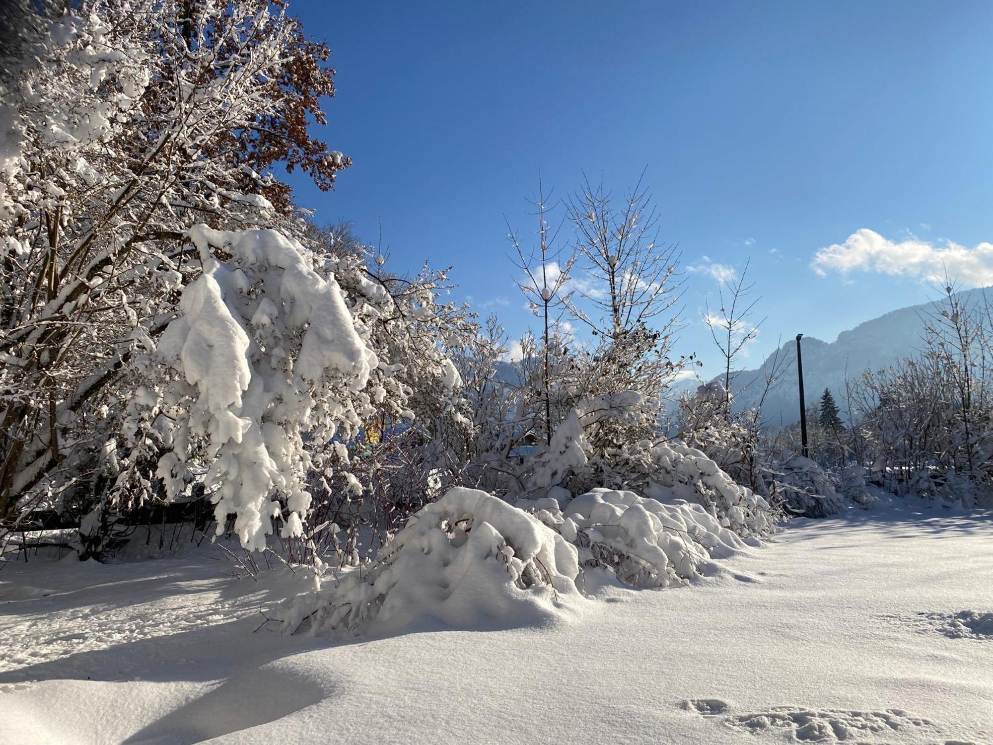 Ferienhaus Endroes - Chiemgau Karte Inzell Dış mekan fotoğraf